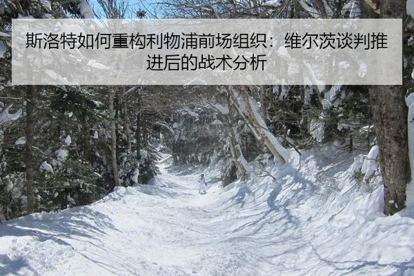 si-luo-te-ru-he-zhong-gou-li-wu-pu-qian-chang-zu-zhi-wei-er-ci-tan-pan-tui-jin-hou-de-zhan-shu-fen-xi-2-806.jpg